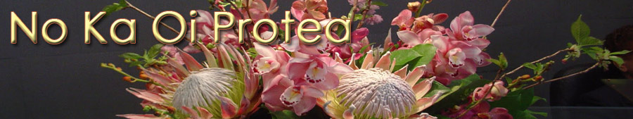 No Ka Oi header graphic.