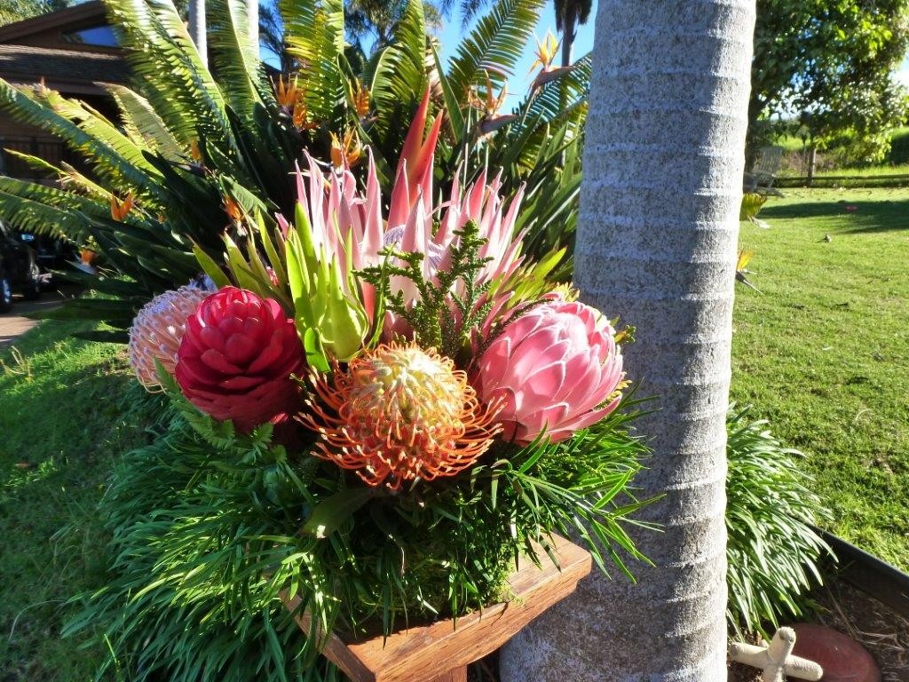 Small native basket $66.00 including FedEx shipping The small native basket has 6-7 exotic flowers from our farm. The arrangement is 11' X 11" and comes in a square lahala woven palm basket. The small native basket has the same long lasting qualities as the other basket arrangements. This arrangement is perfect for a little "thank you' gift or a cherry " get well soon" thought. The small native basket is also very popular for sending to those in assisted living with it's diminutive stature and ease of care. ( no stems to cut and assembly is done for you here at the farm) 