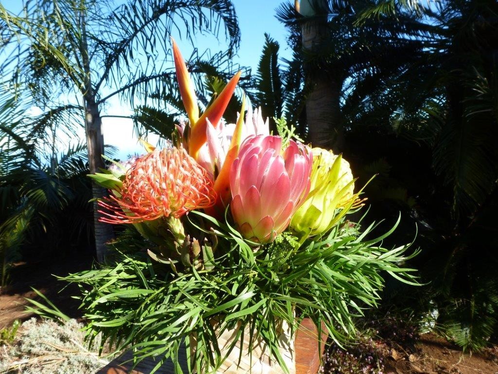 Small native basket $66.00 (order form at bottom of page) The small native basket has 6-7 exotic flowers from our farm. The arrangement is 11' X 11" and comes in a square lahala woven palm basket. The small native basket has the same long lasting qualities as the other basket arrangements. This arrangement is perfect for a little "thank you' gift or a cherry " get well soon" thought. The small native basket is also very popular for sending to those in assisted living with it's diminutive stature and ease of care. ( no stems to cut and assembly is done for you here at the farm) 